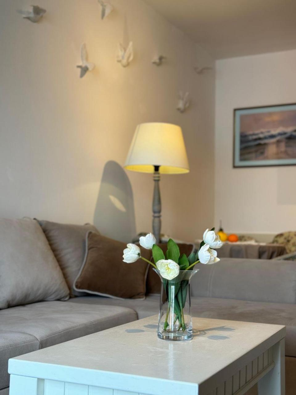 Apartament Vikka Boka Donja Kostanjica Zewnętrze zdjęcie